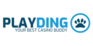 Playdingo Logo